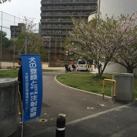 狂犬病集合注射に行ってきました。_e0339146_09081100.jpeg