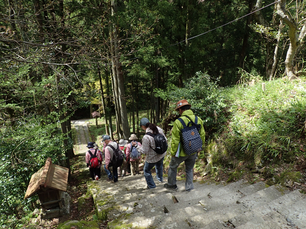 石見銀山・仙ノ山ウォーク③_f0214649_2202785.jpg