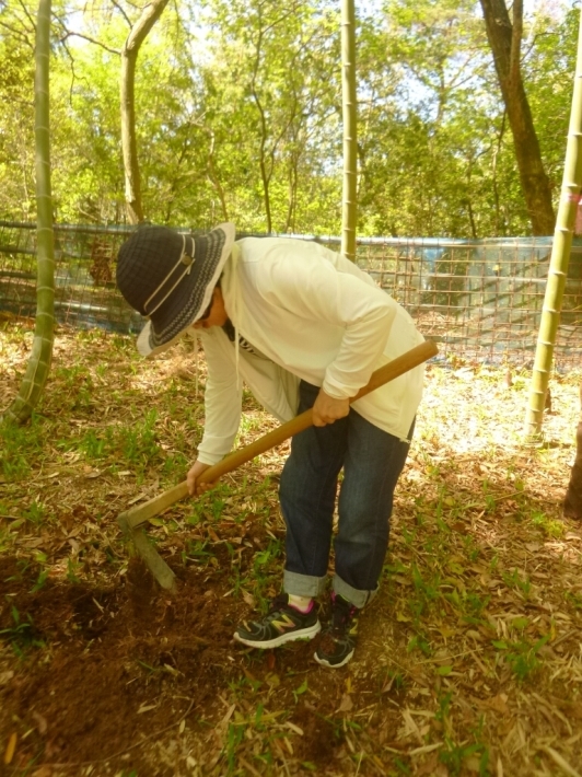 まんのう公園_b0335550_21480118.jpg