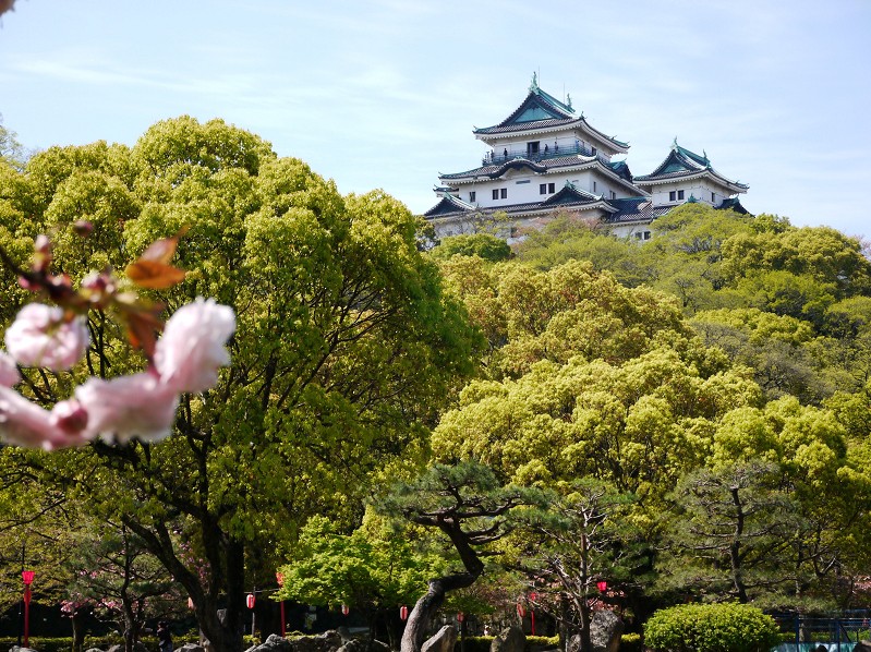 　　和歌山城二の丸庭園にて　　２０２５-０４-１８　００：００_b0093754_20441597.jpg
