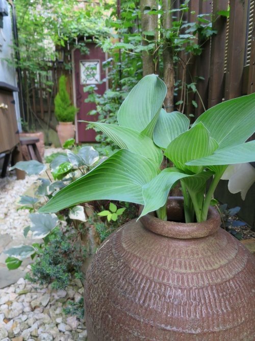 d0231057_20373559.jpg