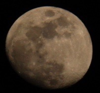 a0248459_02311755.jpg