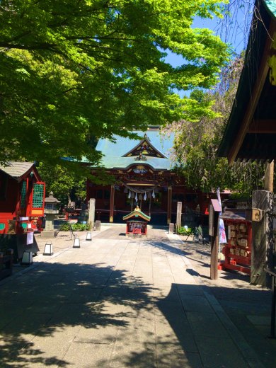d0270360_20100624.jpg