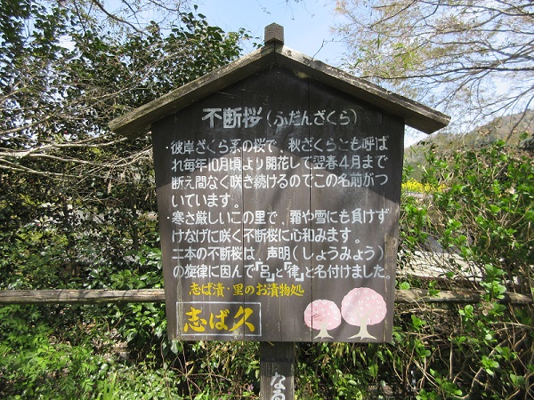 d0164761_14523979.jpg