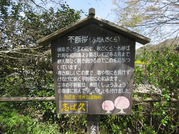 比叡山延暦寺・大原の里_d0164761_14523979.jpg