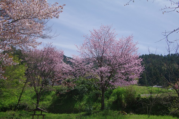 比叡山延暦寺・大原の里_d0164761_14533518.jpg