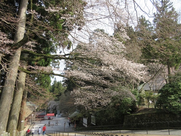 比叡山延暦寺・大原の里_d0164761_1474029.jpg