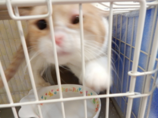 ん?_e0355177_22391652.jpg