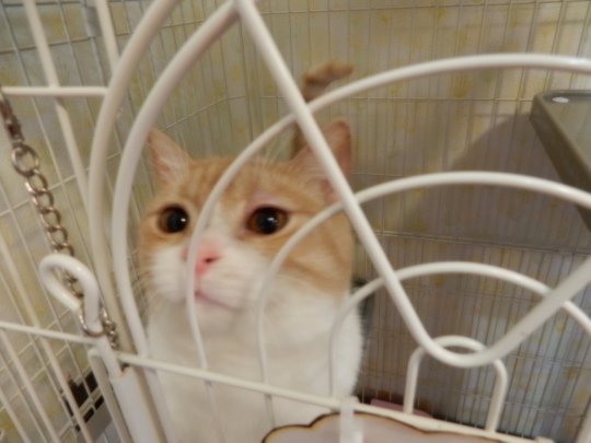 ん?_e0355177_22392920.jpg