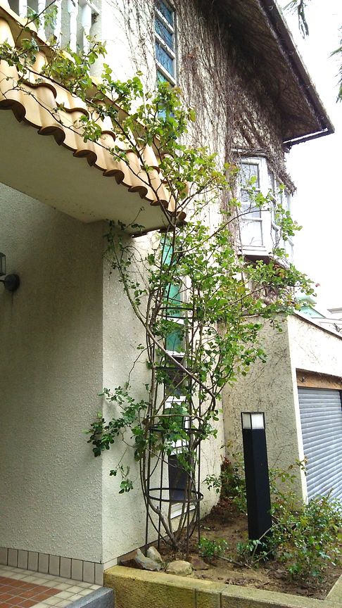 b0091187_05798.jpg