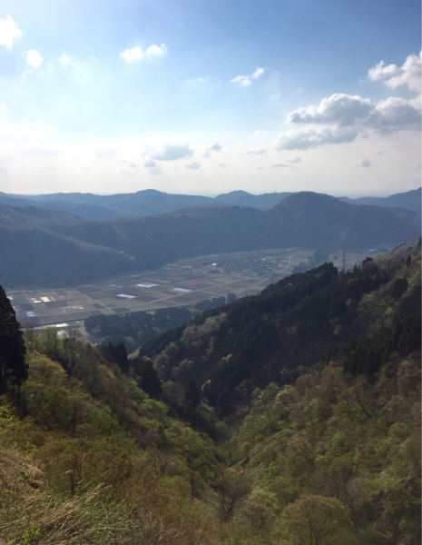 d0182188_10041784.jpg