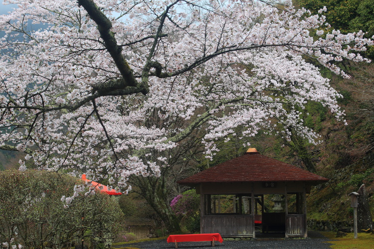 白龍園_e0051888_22185714.jpg