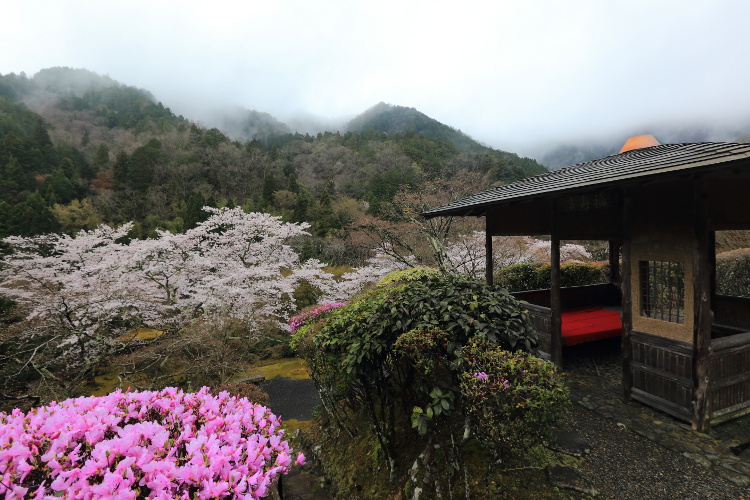 白龍園_e0051888_22191040.jpg