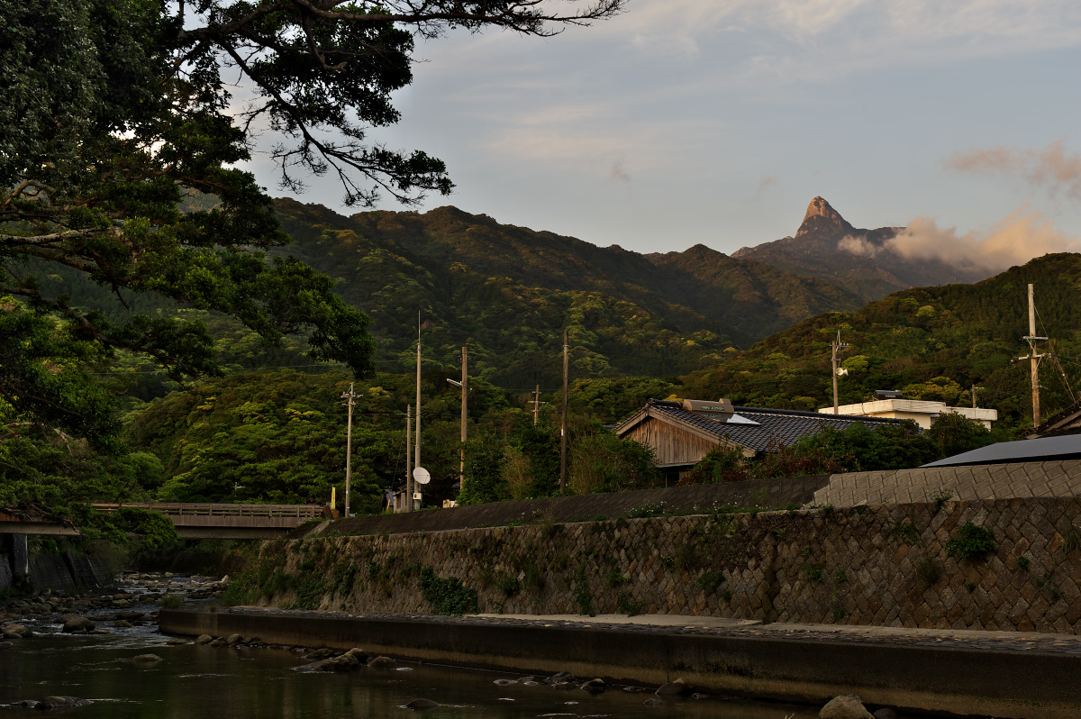 太忠岳・花折岳・石塚山登山_c0169106_0202796.jpg