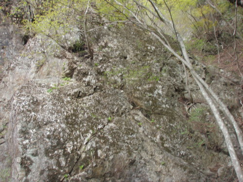 d0342206_15411626.jpg