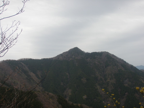 d0342206_15431412.jpg