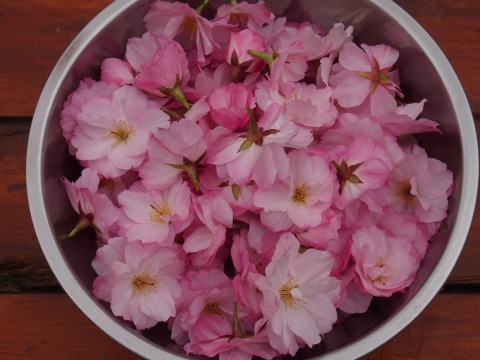 c0117007_21123517.jpg