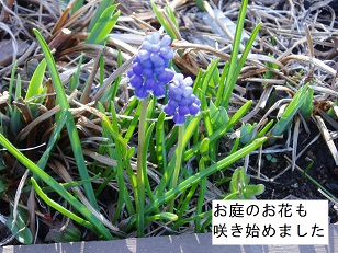 b0200310_19441488.jpg