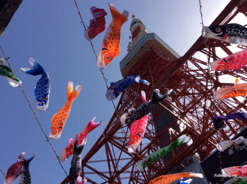 上を向いて_d0344913_13552608.jpg