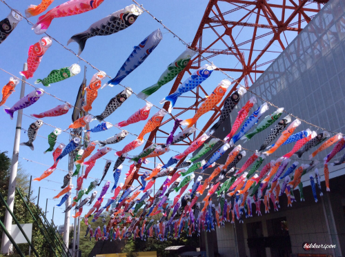 上を向いて_d0344913_13553471.jpg
