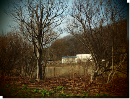 a0114514_1912826.png
