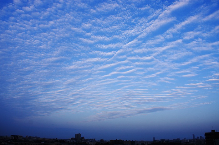 うろこ雲（巻積雲）_b0268615_14452745.jpg