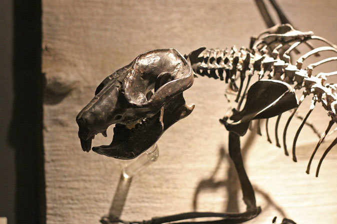 b0355317_11420686.jpg