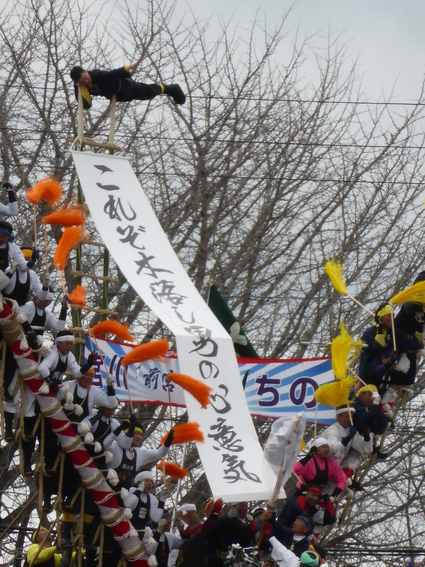 d0158917_17415.jpg