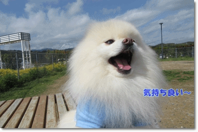 b0167519_1049137.gif