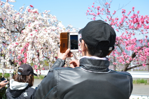 桜を追っかけ平日ツーリング レポートその1_d0100125_2043236.jpg