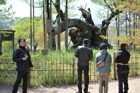 桜を追っかけ平日ツーリング レポートその1_d0100125_2046256.jpg