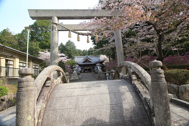 伊奈冨神社の紫つつじまつり見学（その1）_e0321325_15135596.jpg