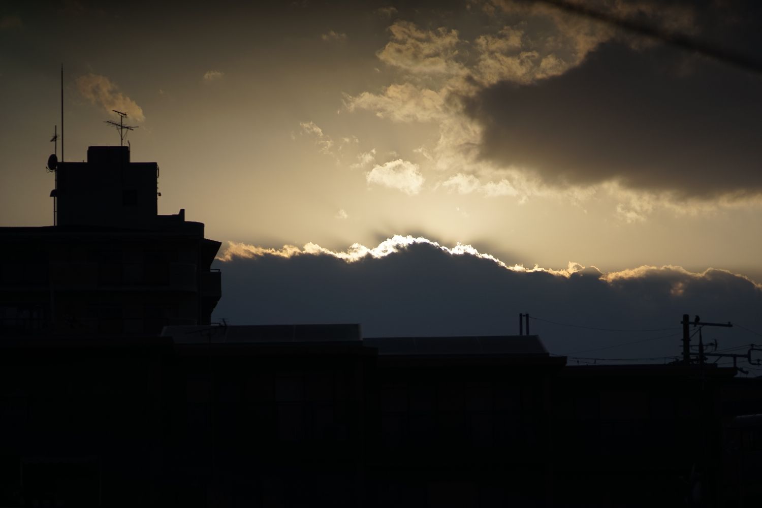b0069128_11344.jpg