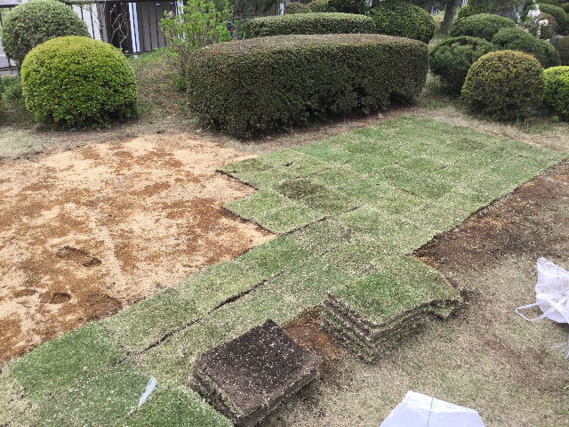 芝はりかえ完成_f0031037_19472651.jpg