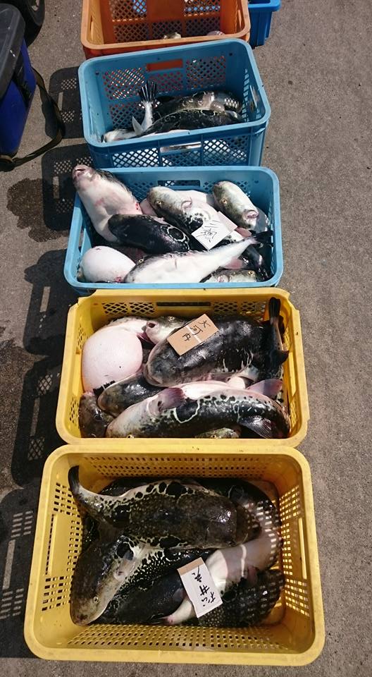 魚勘丸ジギング_e0212944_1255545.jpg