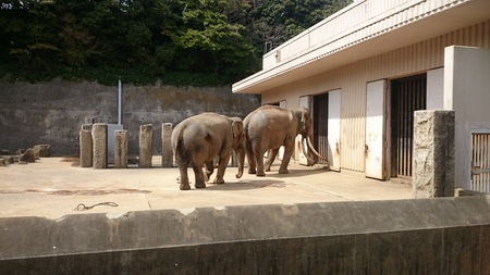 1007.金沢動物園_e0201354_23272172.jpg