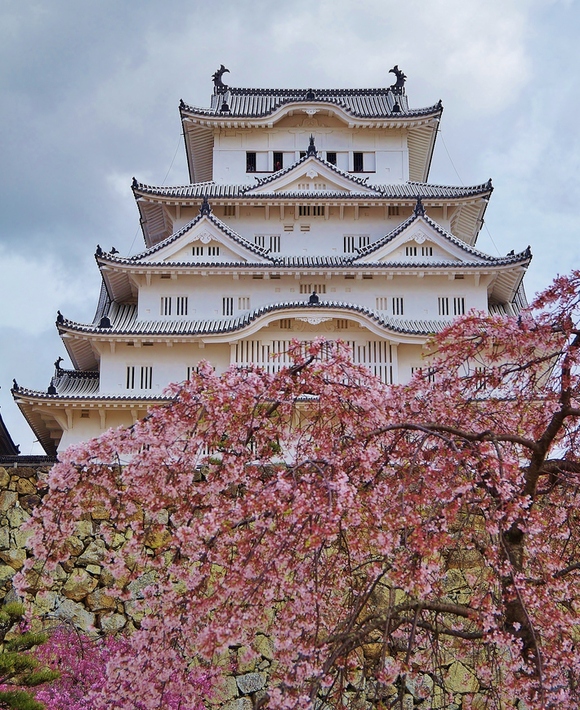 姫路城の桜　備前丸_b0063958_20433975.jpg