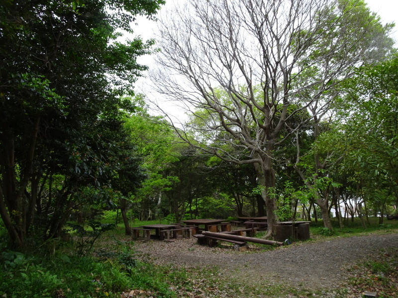 c0108460_20053702.jpg