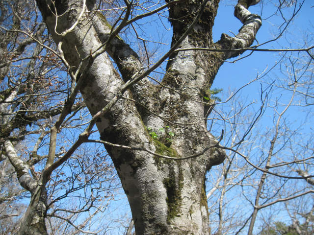 c0219866_7464810.jpg