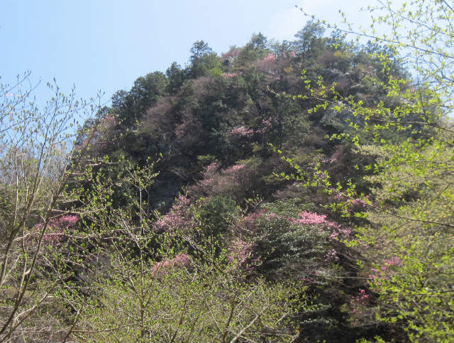 c0219866_7533552.jpg