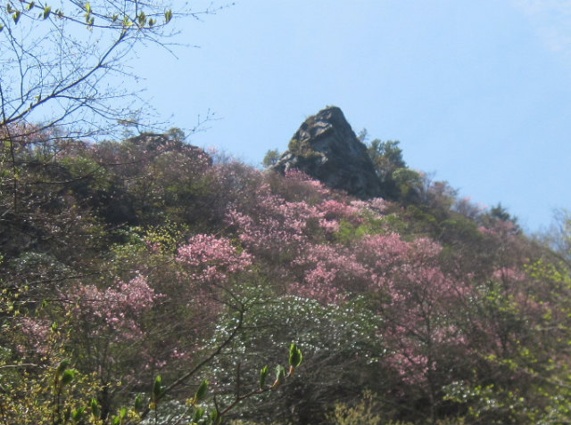 c0219866_7542013.jpg