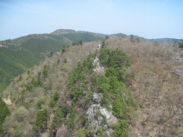 c0219866_813871.jpg