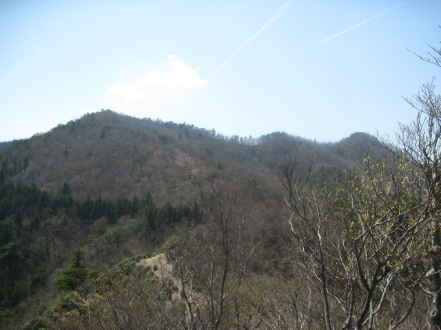 c0219866_83814.jpg