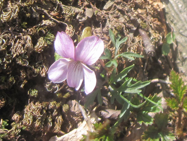 c0219866_844756.jpg