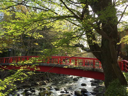 春の伊豆旅行⑦桂川沿いを歩く_e0351070_21584810.jpg