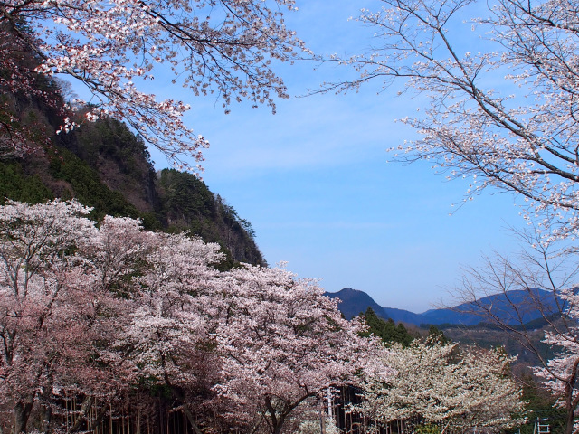 d0042474_00331369.jpg
