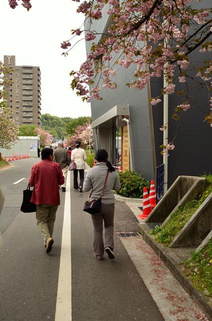 2016,4,18　広島造幣局　八重桜　その4_f0219074_23053810.jpg