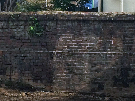 f0193076_22564125.jpg