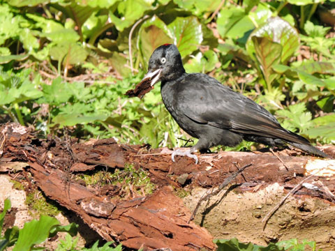 f0083977_18142734.jpg