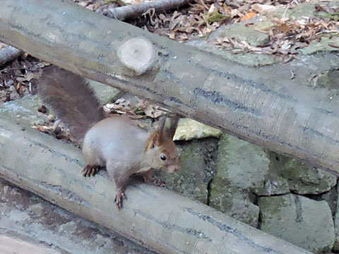 f0083977_18172813.jpg